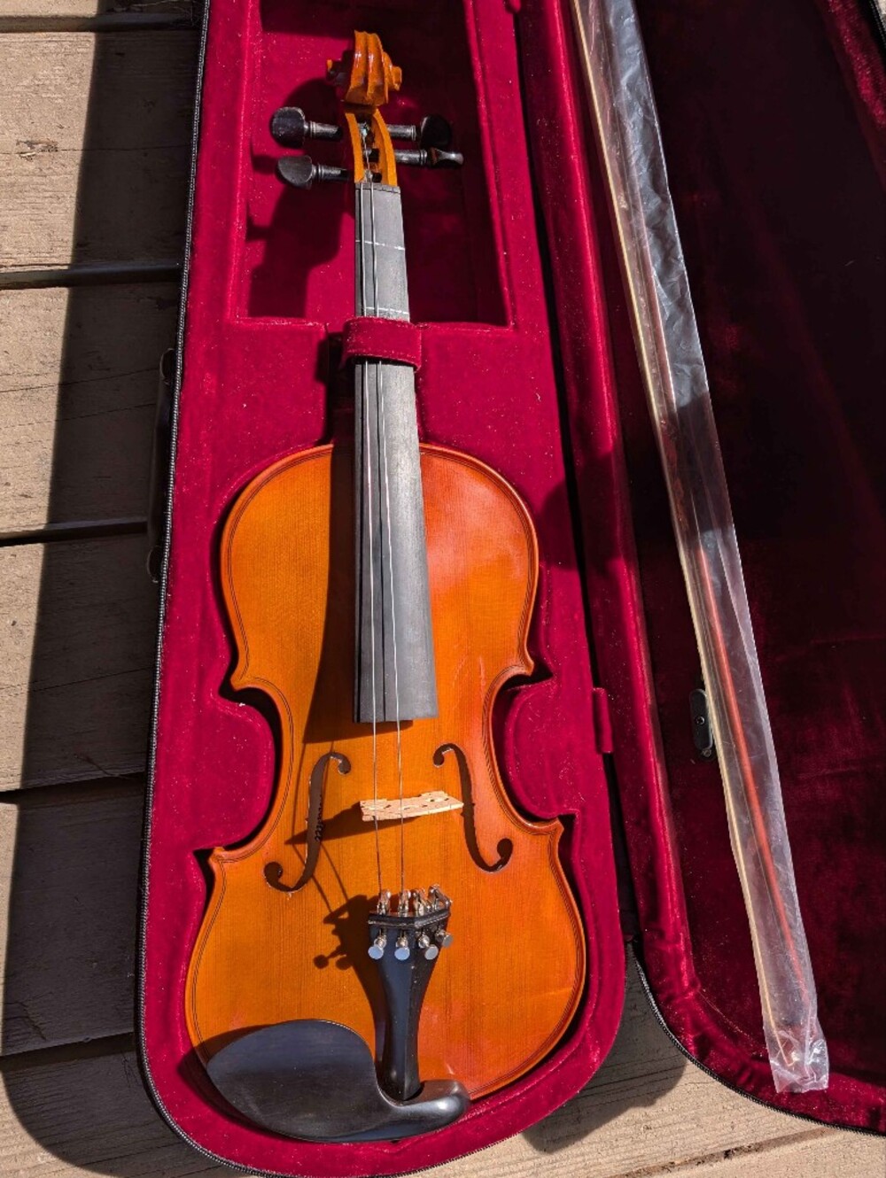 Beginner Violin With Case And Accessories
